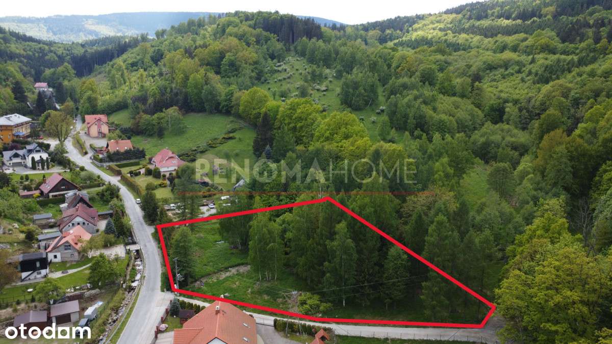 Wyjątkowa Działka Budowlana w Urokliwym Lasocinie - Pełny obrazek: 5/6