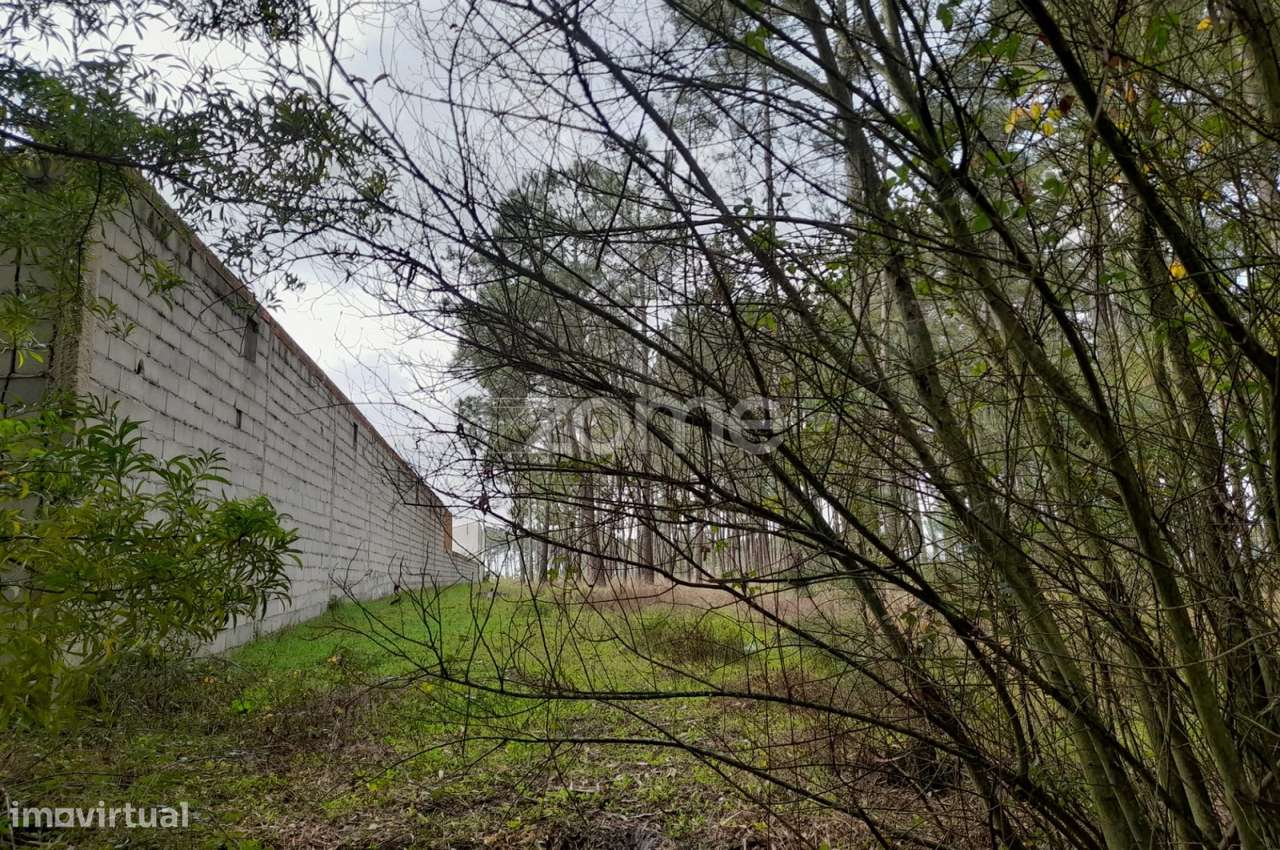 terreno rústico Brejo d'agua - Grande imagem: 5/21