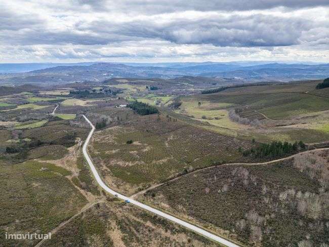 Terreno, 95 000 m², Chã - Grande imagem: 2/3