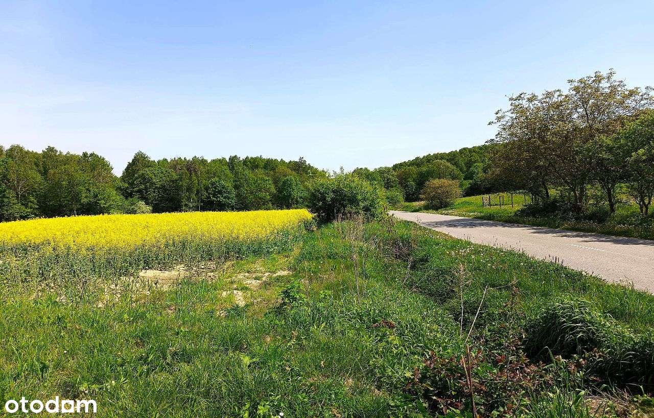 Działki Roztocze. Majdanek, 3 km od Tomaszowa Lub - Pełny obrazek: 5/17
