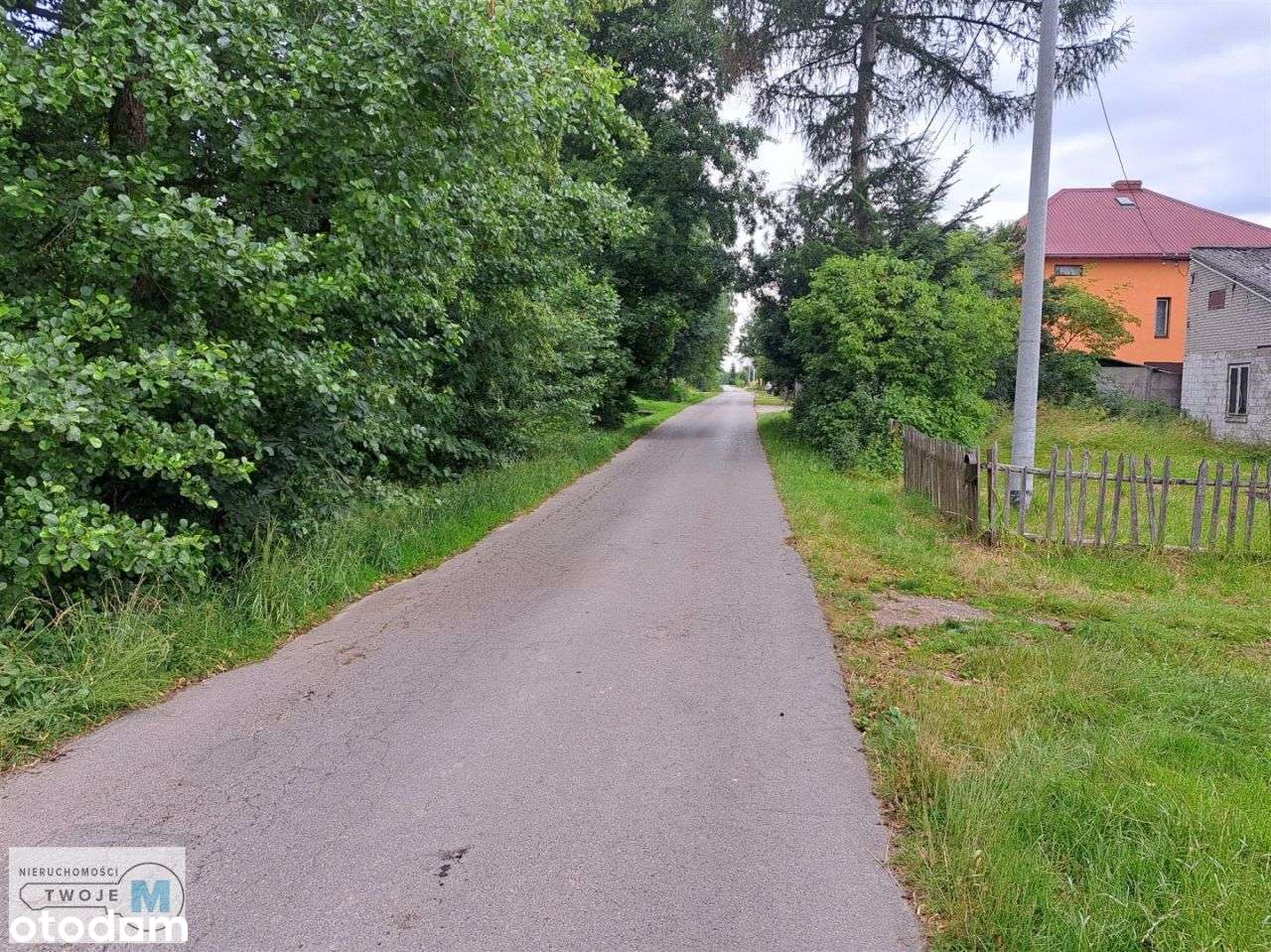 Dzialka - tylko 30min szlakiem na Święty Krzyż! - Pełny obrazek: 5/6