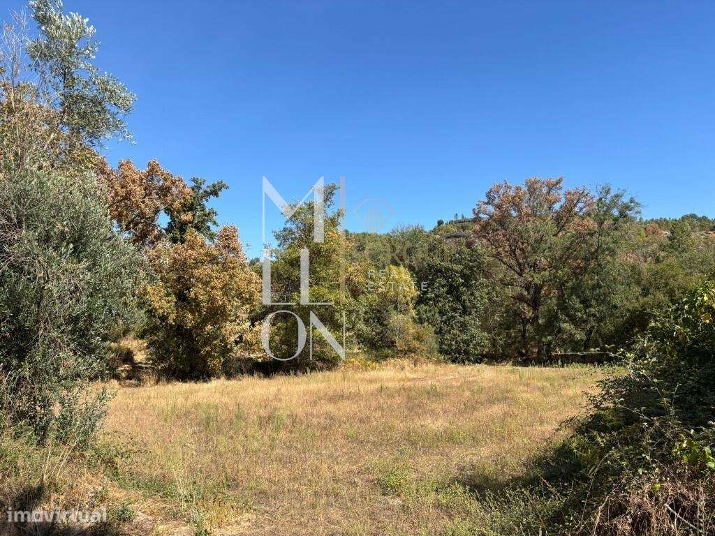 Quinta com 10 hectares — Tranquilidade, potencial e múltiplas valência - Grande imagem: 5/12