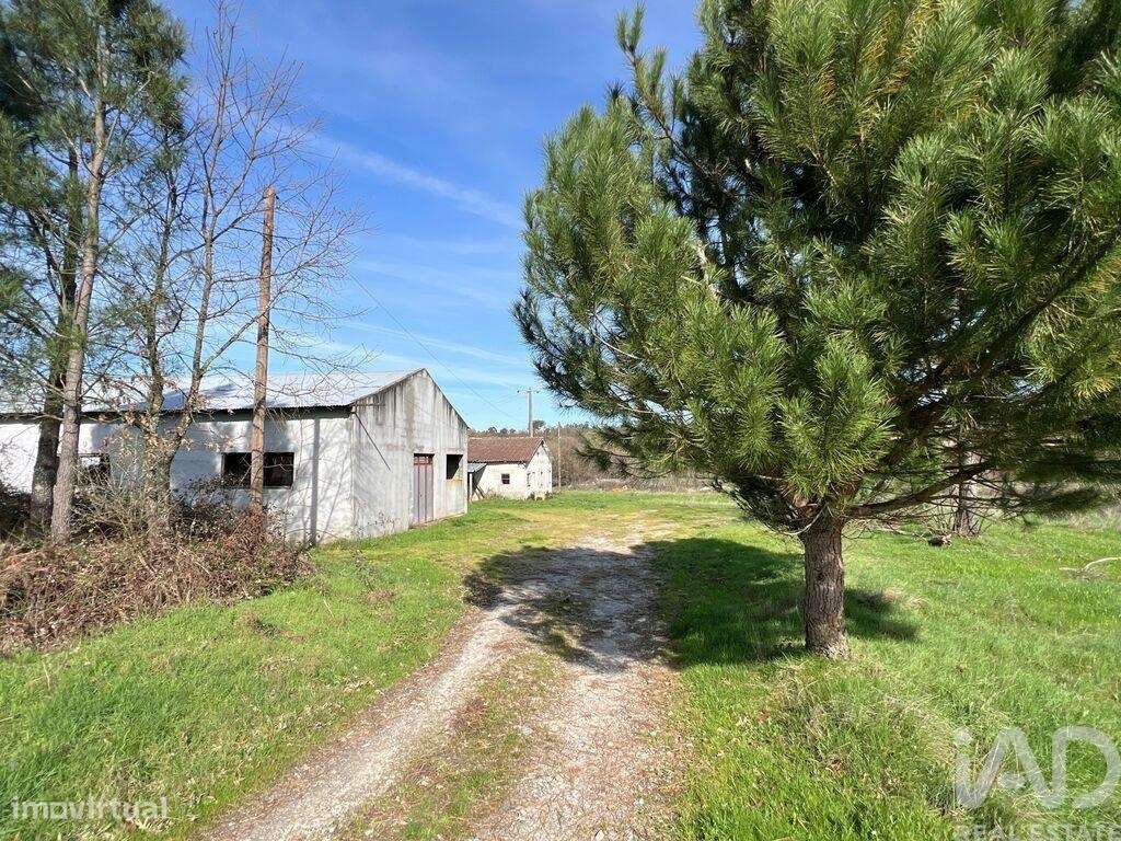 Quinta T2 em Quintela de Azurara de 113 m2 - Grande imagem: 2/35