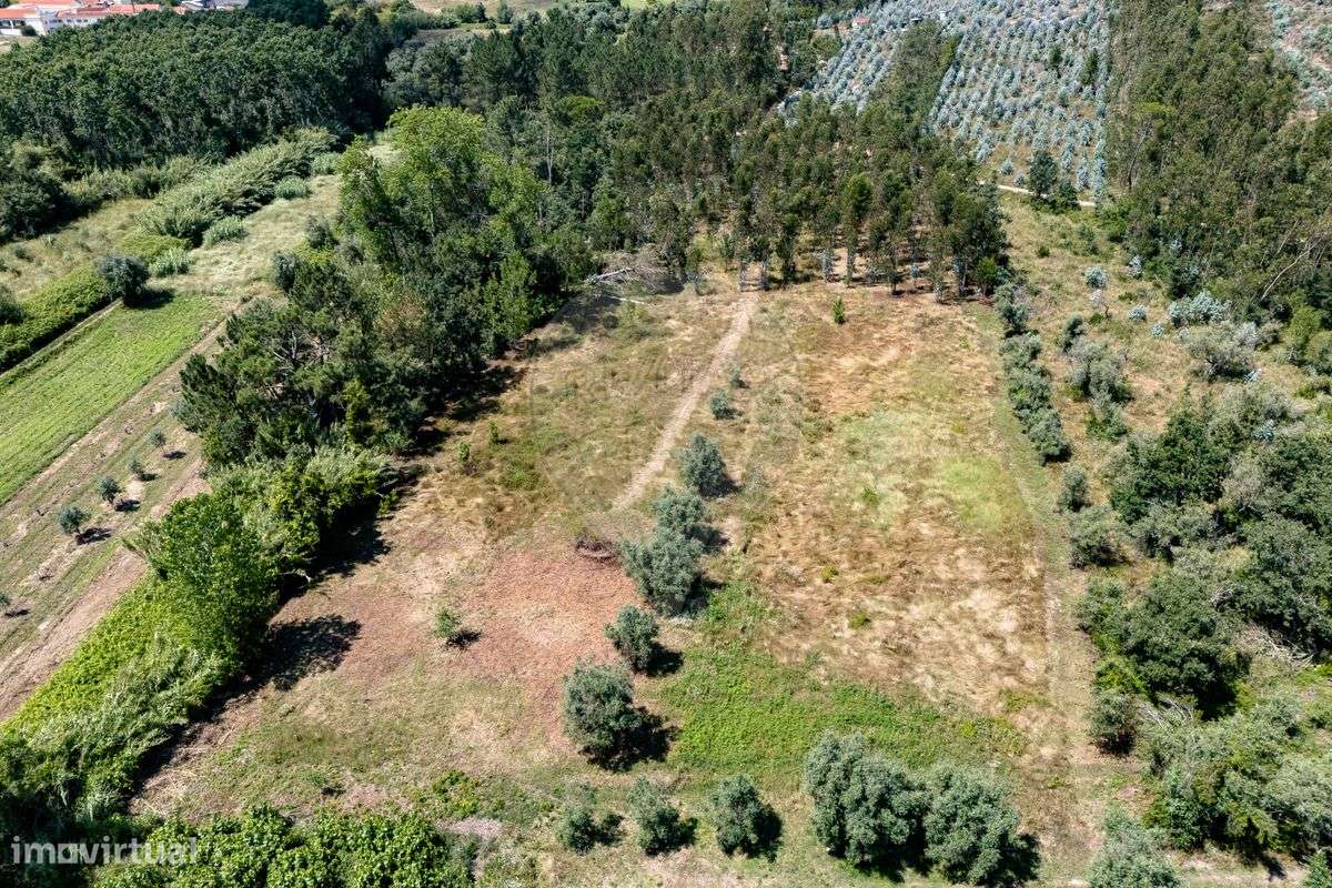 Terreno  para venda - Grande imagem: 5/12