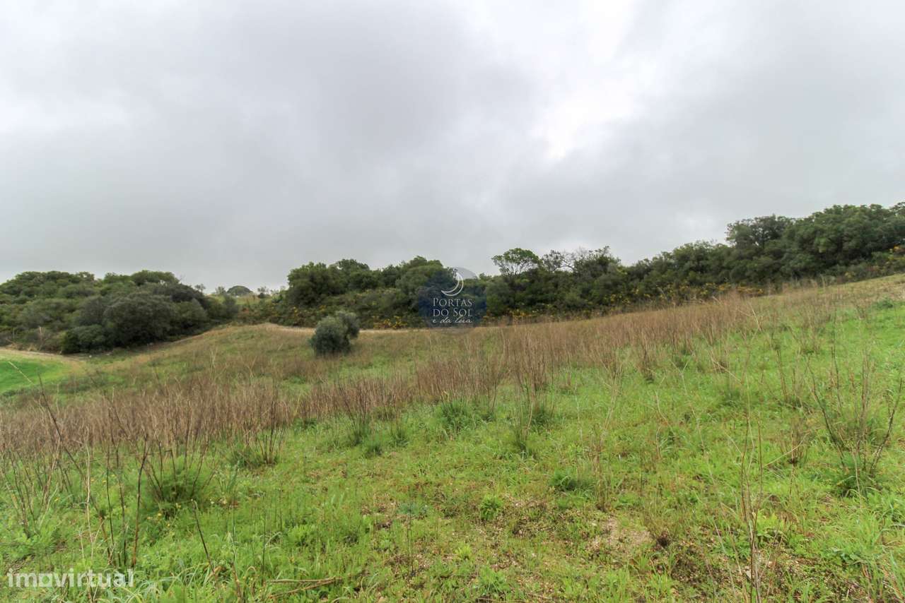 2 Terrenos Confinantes c/ 27.280 m2 e Ribeiro. - Grande imagem: 4/6