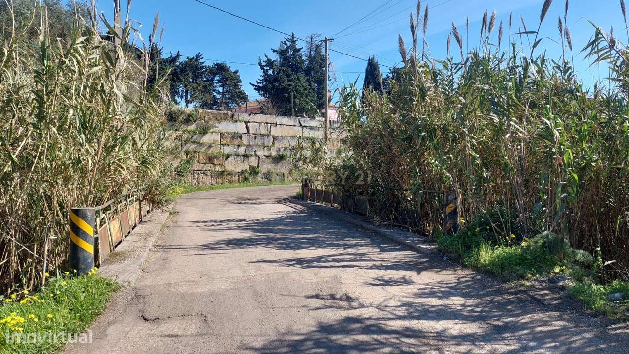 Terreno Multiusos (7680m²) com rendimento-16