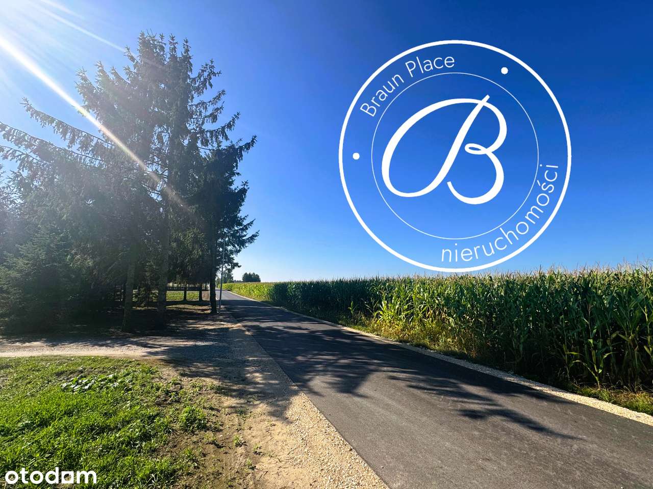 Wygoda Smoszewska, gm. Zakroczym,1000 m²,Media,16 Diałek Budowlanych - Pełny obrazek: 5/6