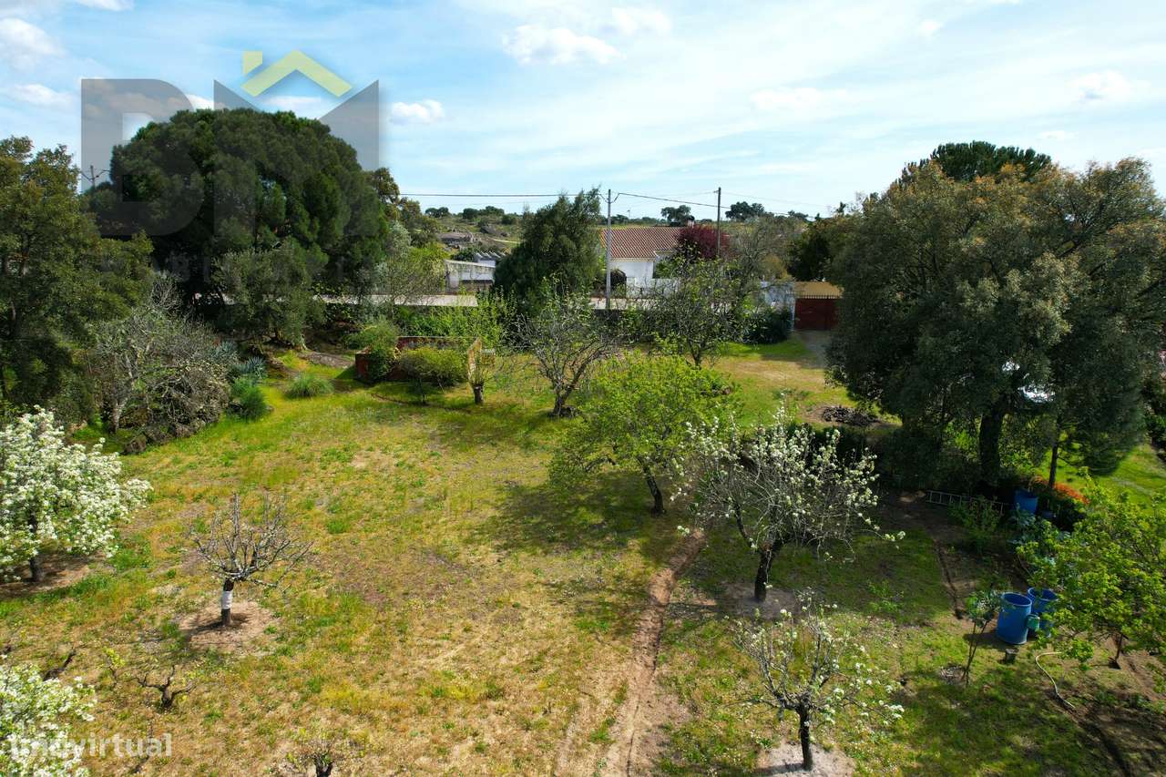 Lote de Terreno  Venda em Escalos de Baixo e Mata,Castelo Branco - Grande imagem: 4/15