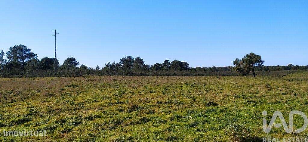 Terreno T1 em Vila do Bispo e Raposeira de 235534,00 m2 - Grande imagem: 5/25