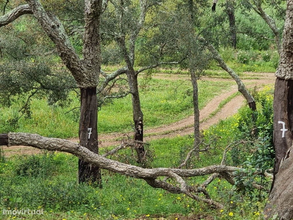 TERRENO Rústico (4,05ha)