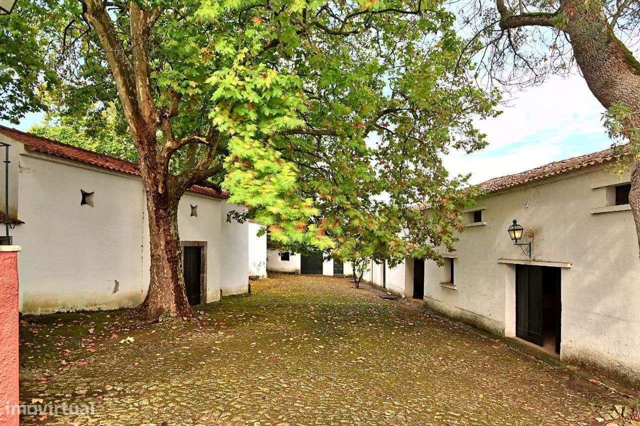 Quinta T5 de luxo para venda - Carrasqueira - Grande imagem: 5/31