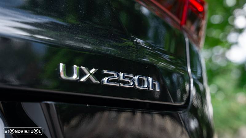 Lexus UX 250h Special Edition (LCA) - 17