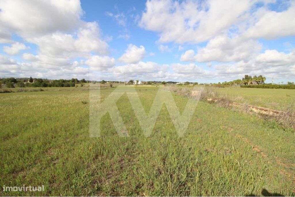 TERRENO RUSTICO, COM 16 120 M2, ELECTRICIDADE, BOM ACESSO, POÇO E NORA - Grande imagem: 4/27