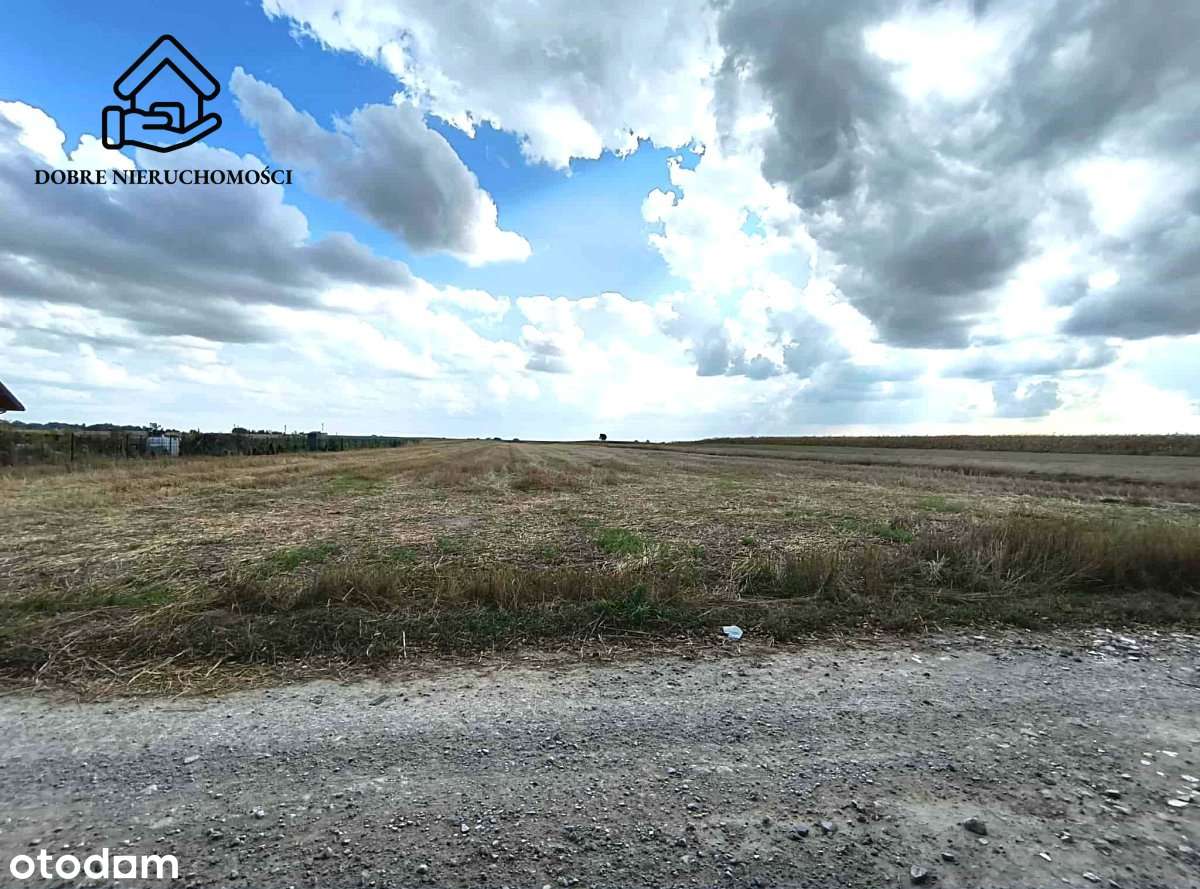 10 arów - spokojna okolica w sąsiedztwie lasu. - Pełny obrazek: 3/5