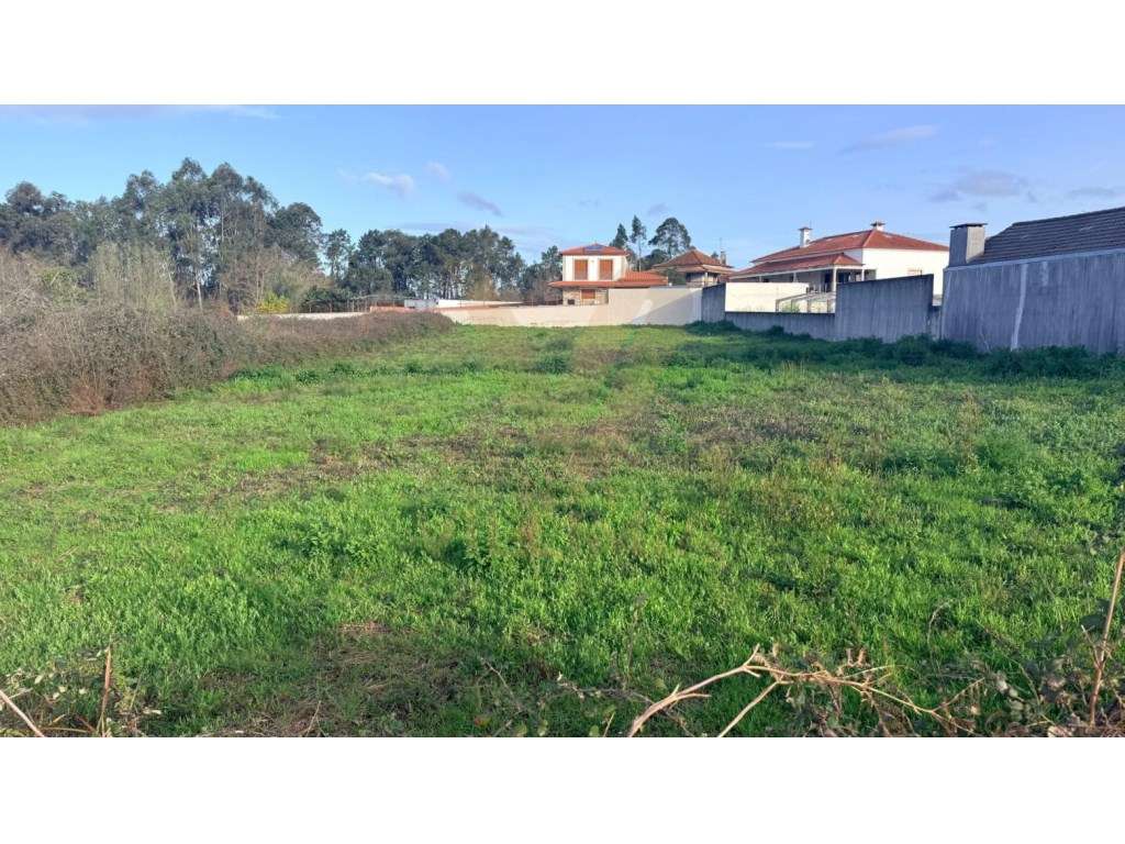 Terreno 1.191,91 m² para Construção | Alvarães - Viana do Castelo - Grande imagem: 5/5
