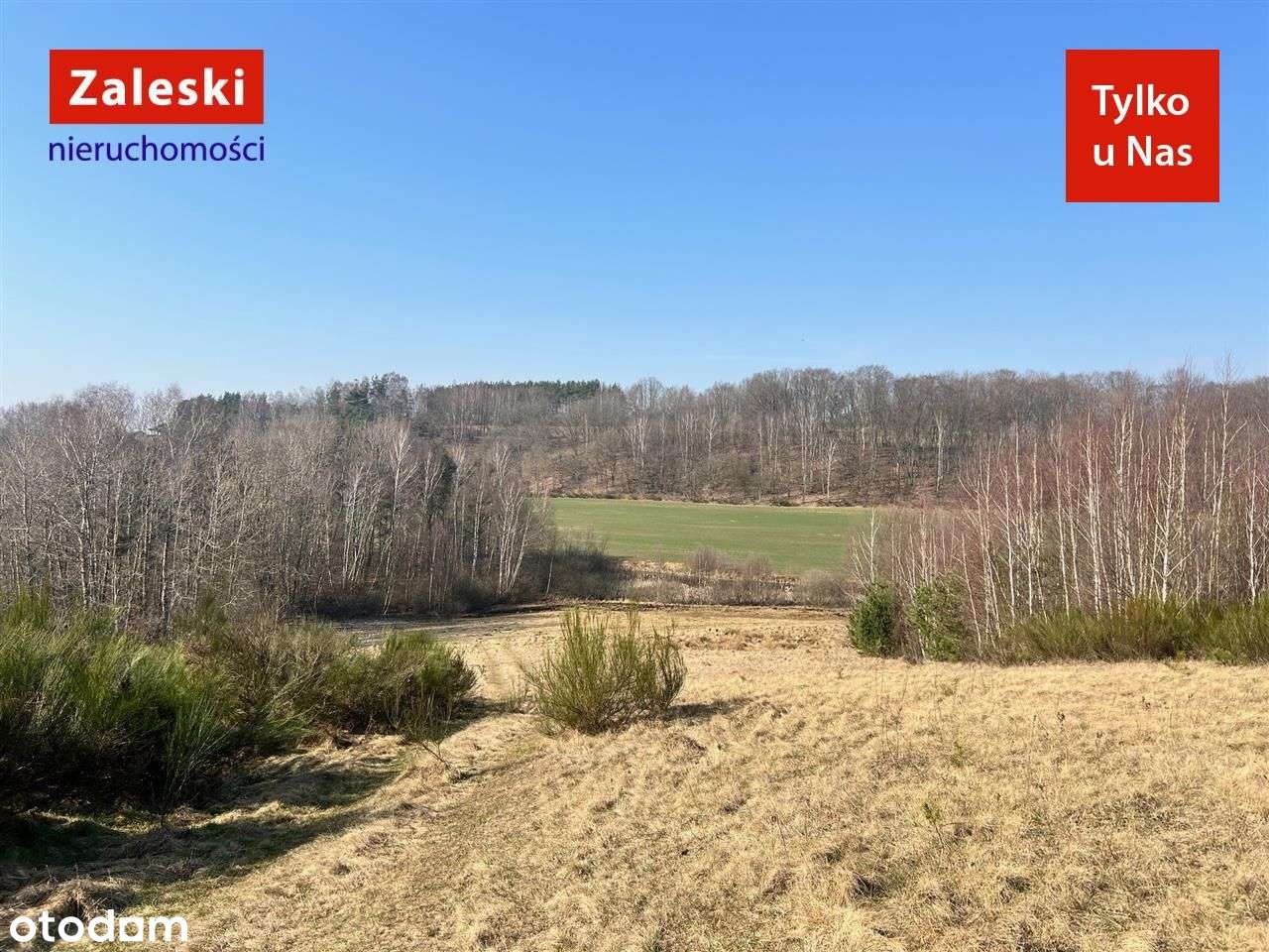 Działka siedliskowa w wydanymi warunkami zabudowy