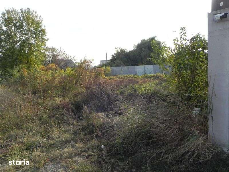 Teren intravilan -pozitie deosebita-langa padure-Domnesti-Teghes - Imagine principală: 5/8