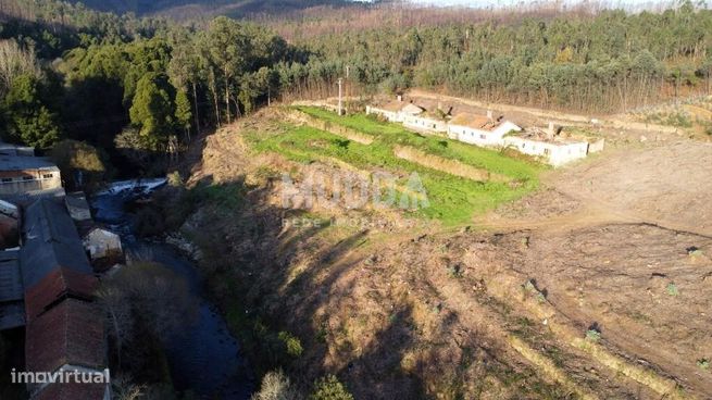 Quinta com 2 hectares para recuperar junto ao Rio Caima-3