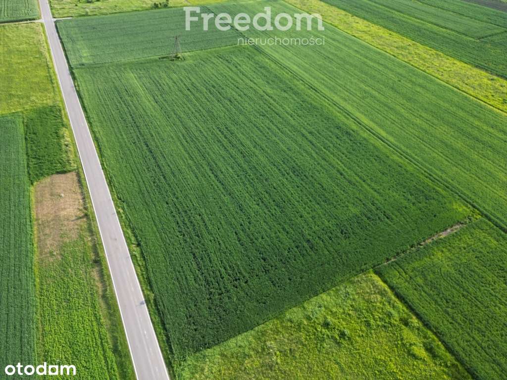 Działka budowlana 1,04 ha – Opole Lubelskie - Pełny obrazek: 4/4