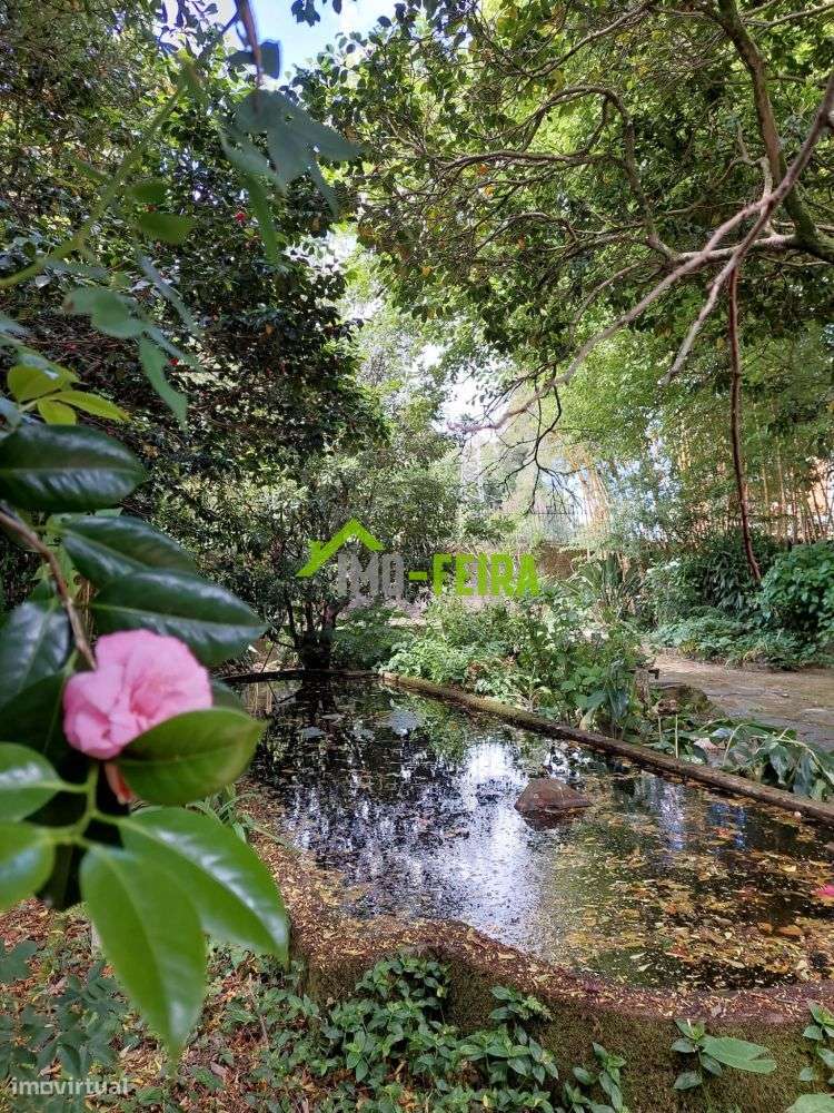 Quinta T6, São João da Madeira-12