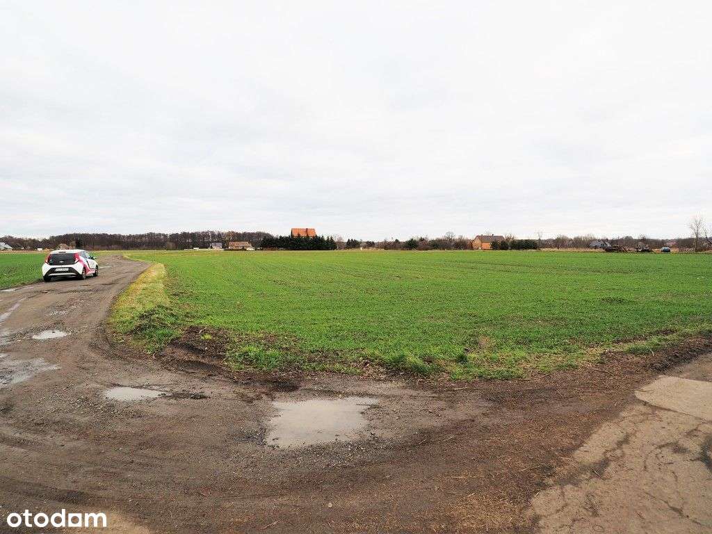 Malownicza działka budowlana 7371 m2 Wykroty - Pełny obrazek: 4/6