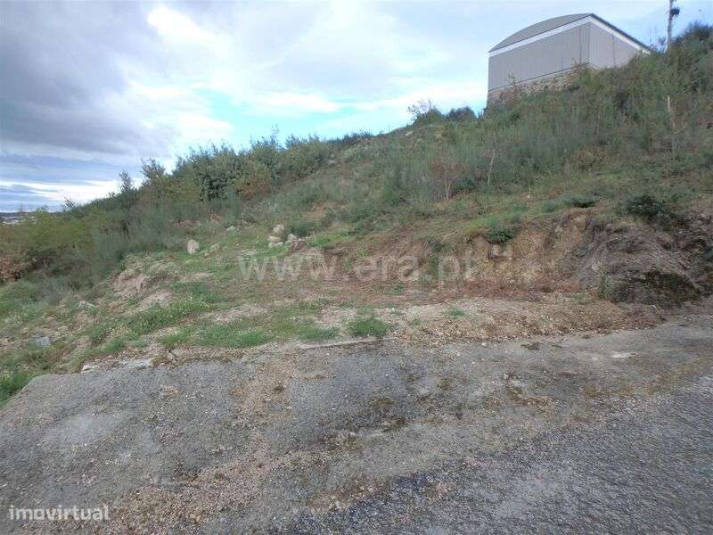 Terreno Rústico / Seia, Santa Marinha e São Martinho - Grande imagem: 5/10