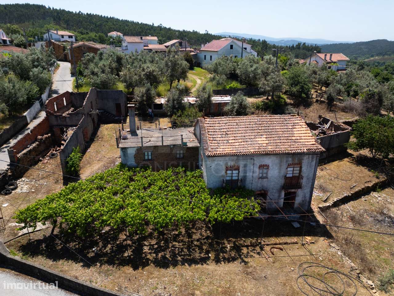 PROPRIEDADE DE CARÁTER NA N2 | 400 m² DE CONSTRUÇÃO, OLIVAL E POTEN...-13