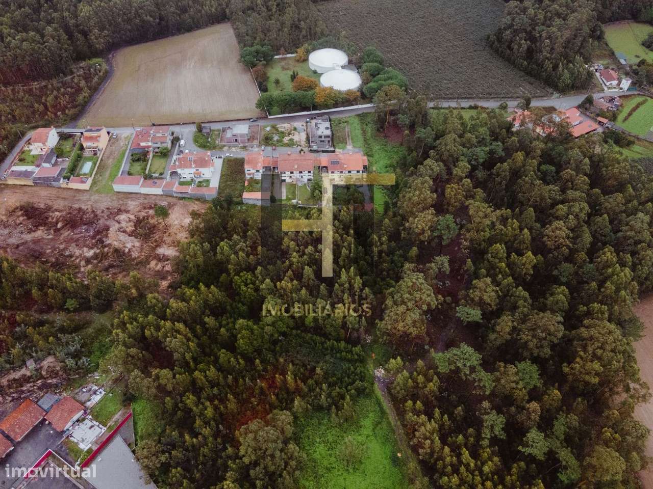 Terreno Rústico | 6.342m² em Gemunde | Oportunidade Única de Invest - Grande imagem: 5/21