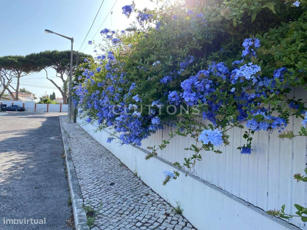 Moradia T4+1 contemporânea com piscina e jardim em Birre, Cascais-17