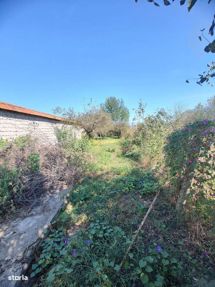 Casă de vanzare zona 22 Decembrie - Imagine principală: 4/8