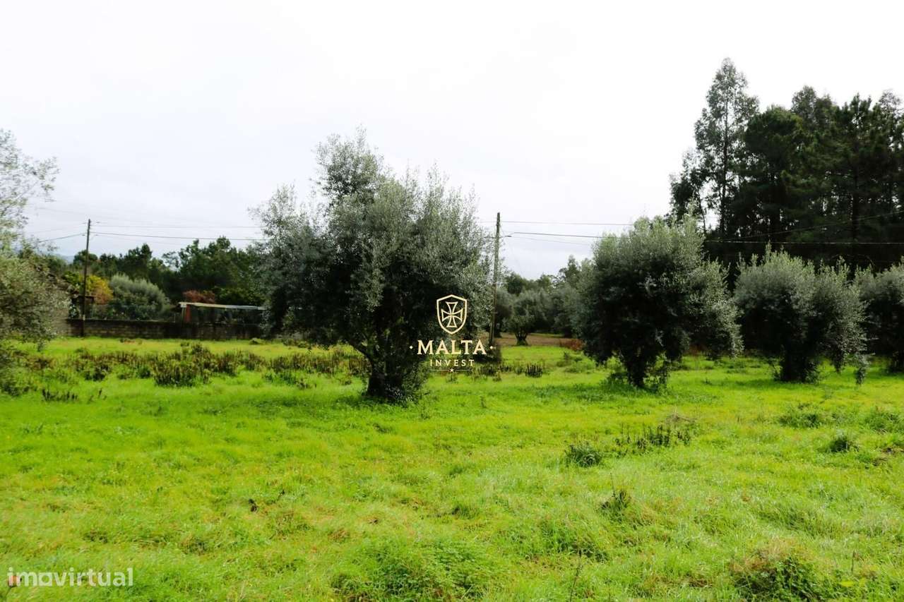 Moradia Isolada na Mealhada – Oportunidade Única, Pronto Pagamento-15