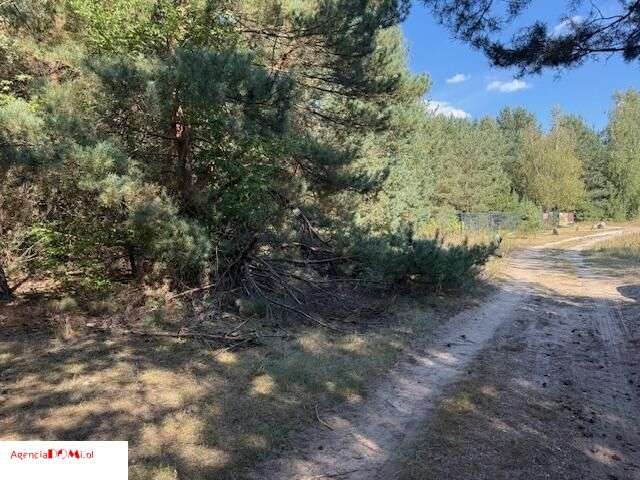 Siestrzeń, 10 000m,do podziału na 6 działek,z Mpzp-10