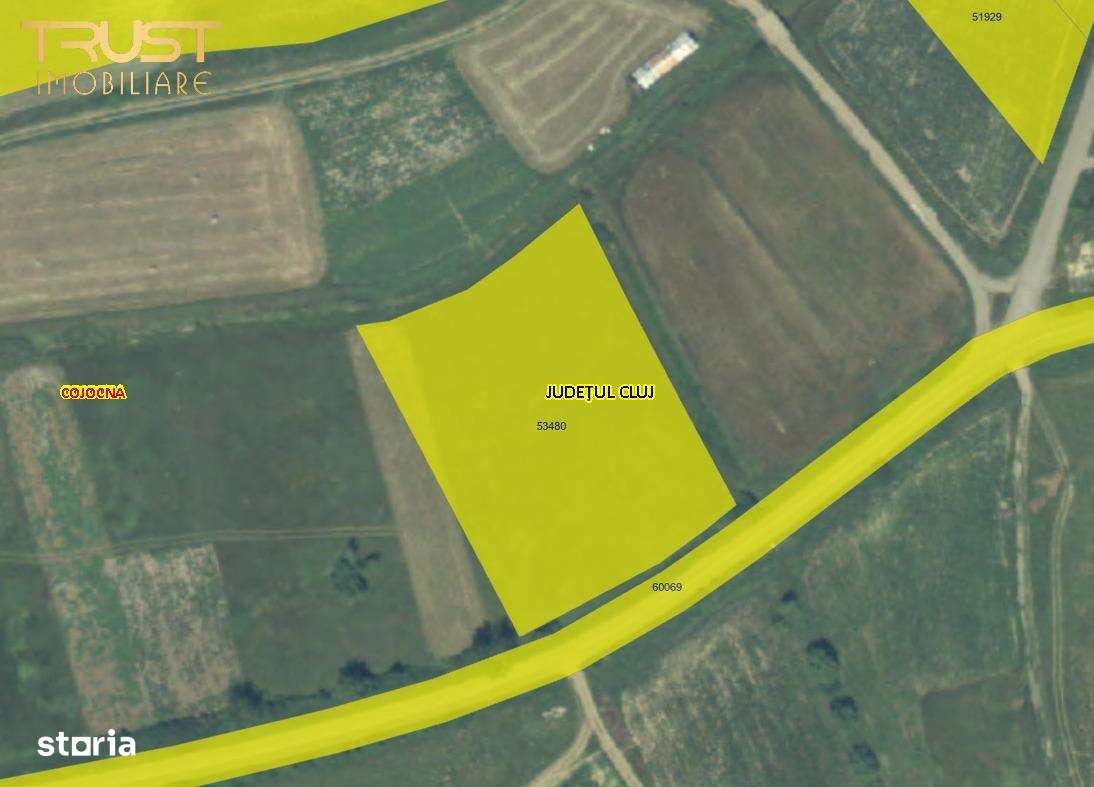 Teren Extravilan I 6000 Mp I Cojocna-1