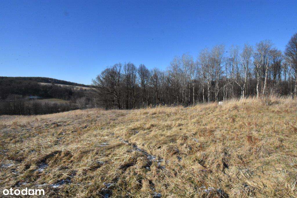 Działki budowlane - Podlesie - Pełny obrazek: 4/9