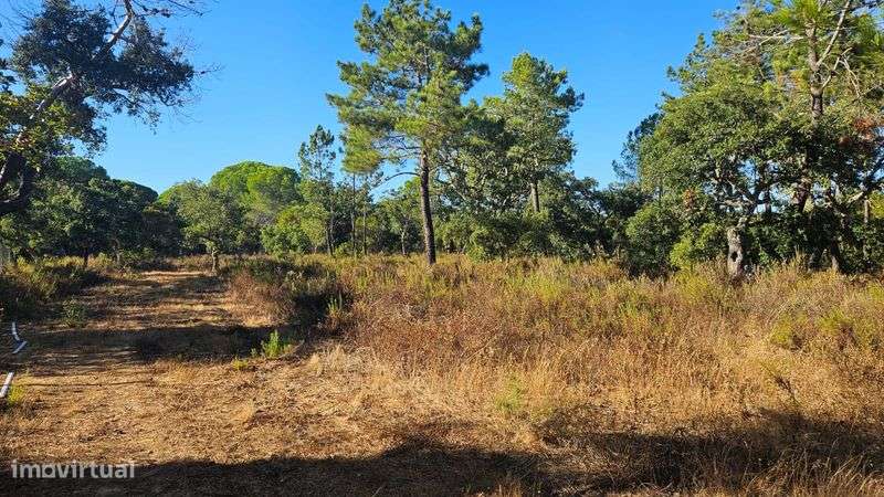 Terreno Rústico a 1 Km do Zoo e a 10 min de Lagos - Grande imagem: 5/10