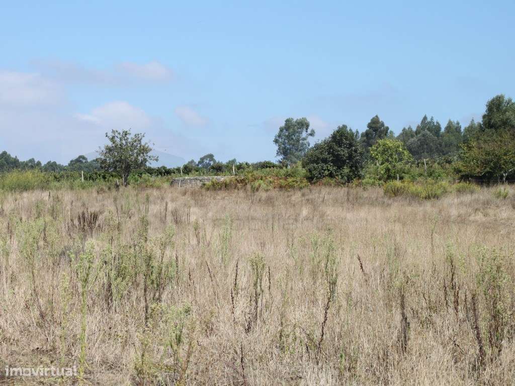 Terreno para moradias - Aveiro - Grande imagem: 4/11