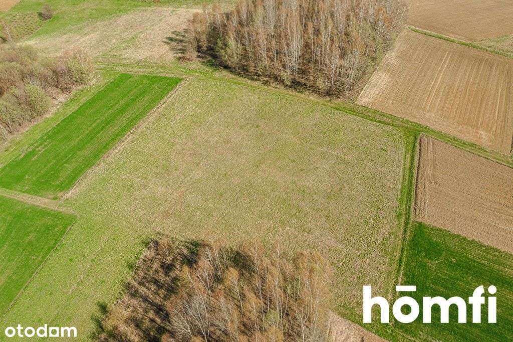 Duża działka w zielonej widokowej okolicy - Pełny obrazek: 4/8