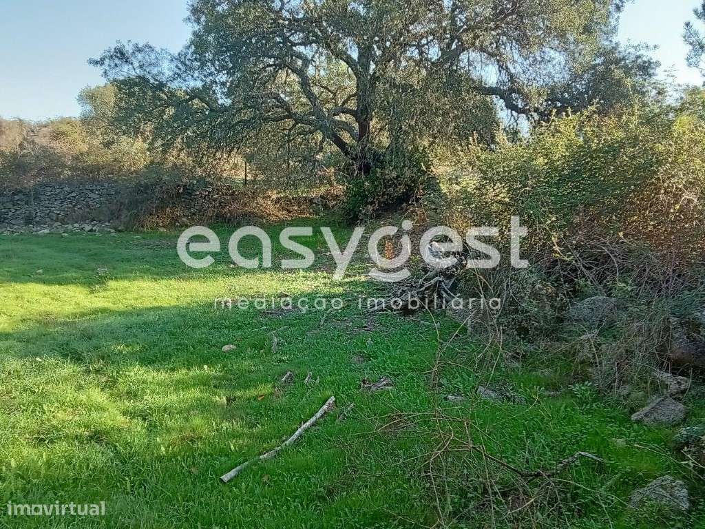 Terreno Rústico com 35000m2 localizado na aldeia de Póvoa Rio Moinhos - Grande imagem: 4/45