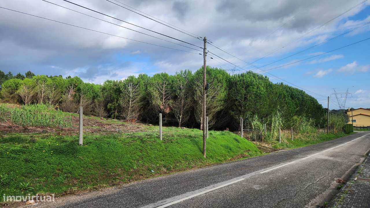 Extenso terreno, em Pernelhas, Parceiros - Leiria - Grande imagem: 2/8