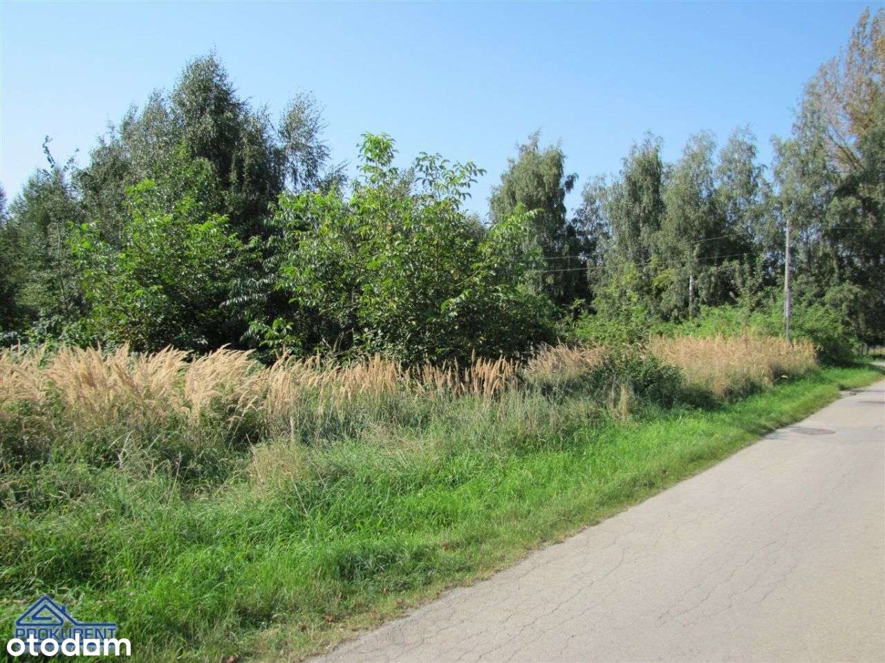 Działka, 2 395 m², Kobiernice-0