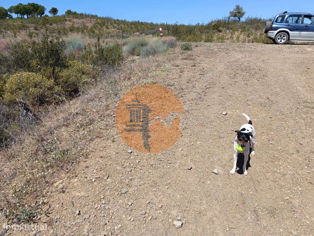 TERRENO COM 34.700 M2 - POSSIBILIDADES DE CONSTRUIR UM ARMAZEM - PR...-26