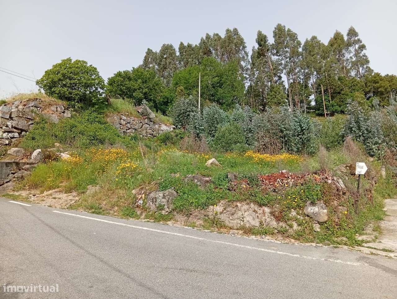 Terreno urbano com acesso pavimentado em Boelhe - Grande imagem: 4/14