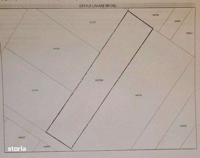 Teren intravilan - Viile Noi/Comarnic- 750 mp, utilitati in apropiere-3