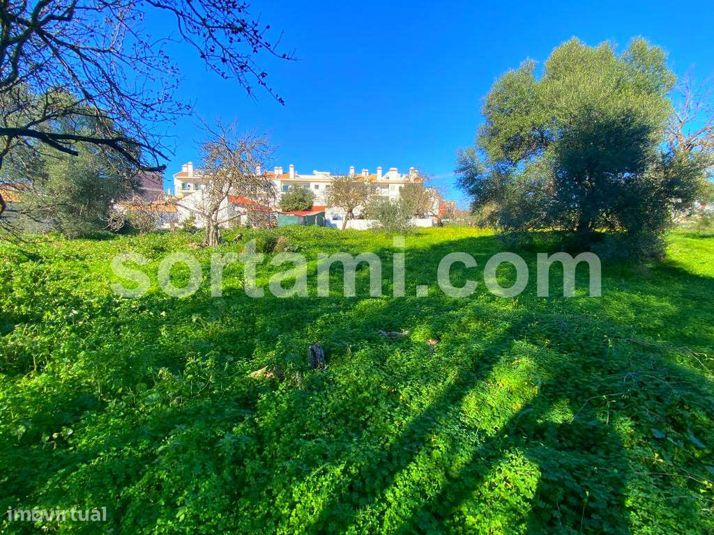 Terreno Rústico  Venda em Almancil,Loulé - Grande imagem: 3/4