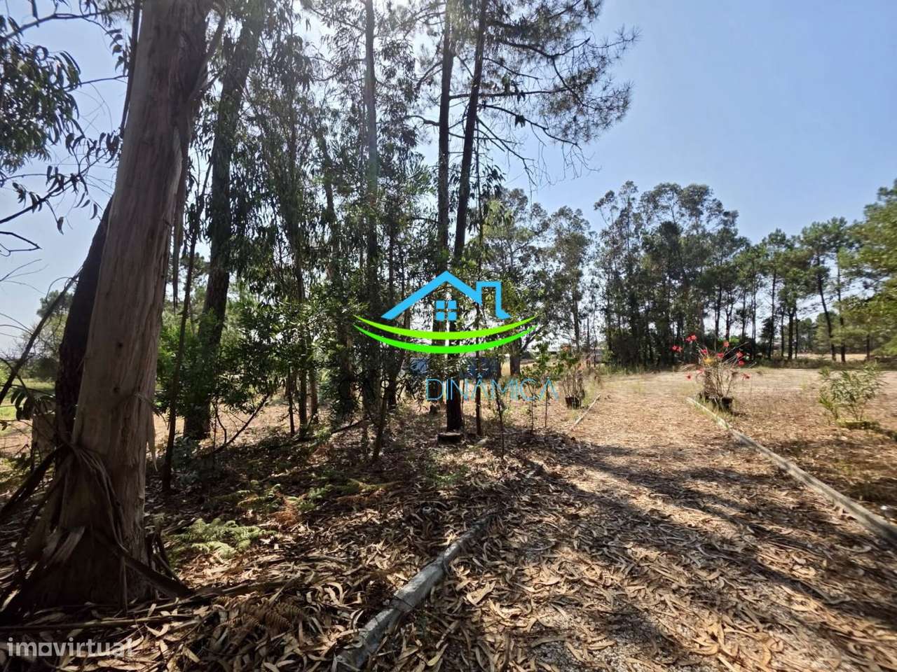 Terreno com 8.369 m² e possibilidade de construção – Arazede, Mon-41