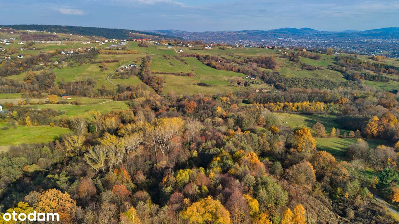 Działka rolna + rolno-leśna  3,5 ha - TRZETRZEWINA-9