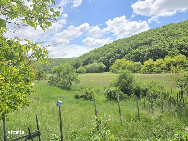 Teren de vânzare – Dej, str. Jichişului-1