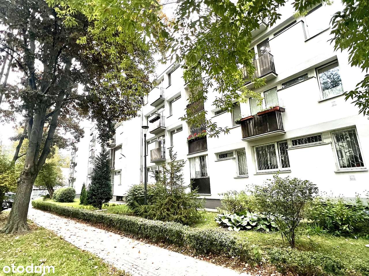 Świetny Układ - Duże Możliwości - Zielona Saska Kępa-0