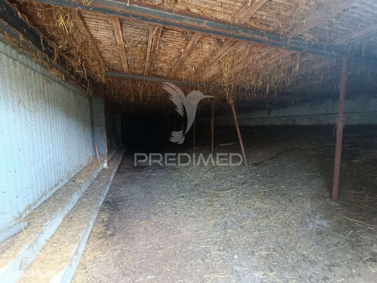 Exploração agropecuaria em Trancoso - Grande imagem: 4/23