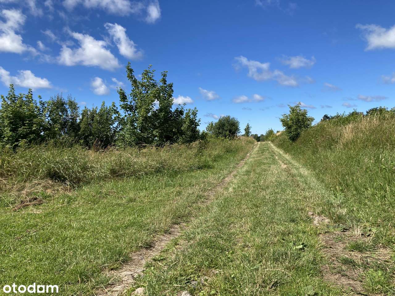 Działka budowlana w Sarbinowie - Pełny obrazek: 4/4